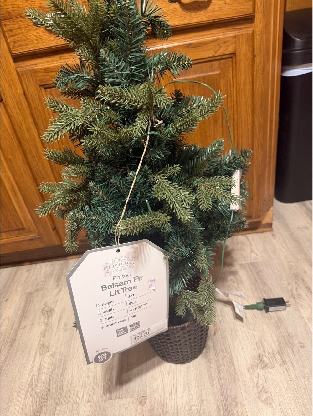 Potted balsam fir lit tree